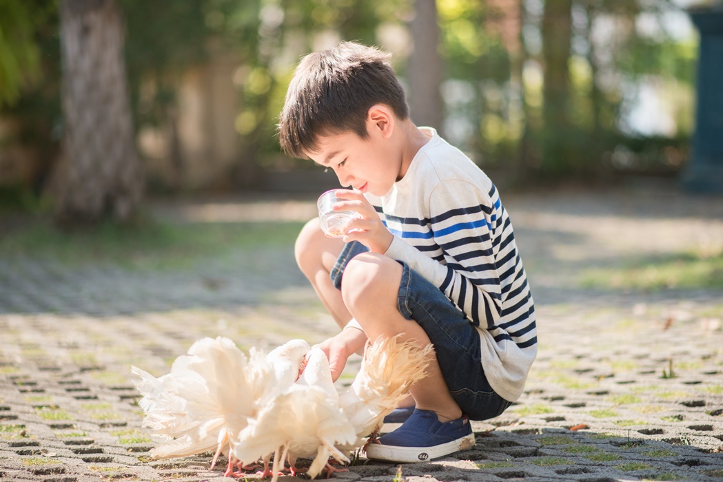 boy feeding his pet