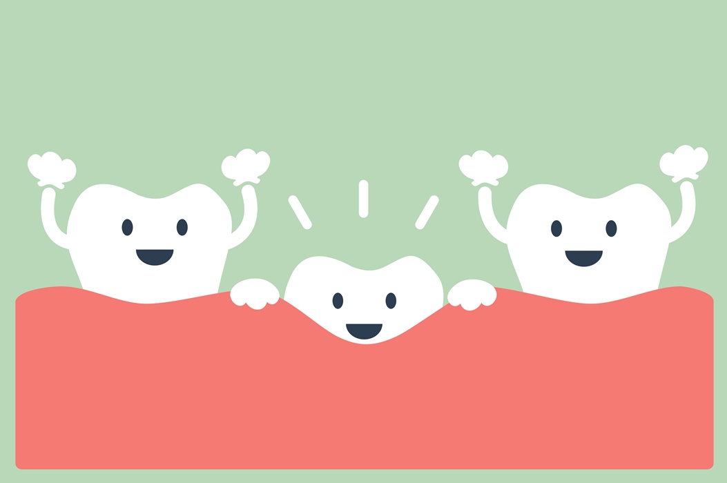 teeth grow