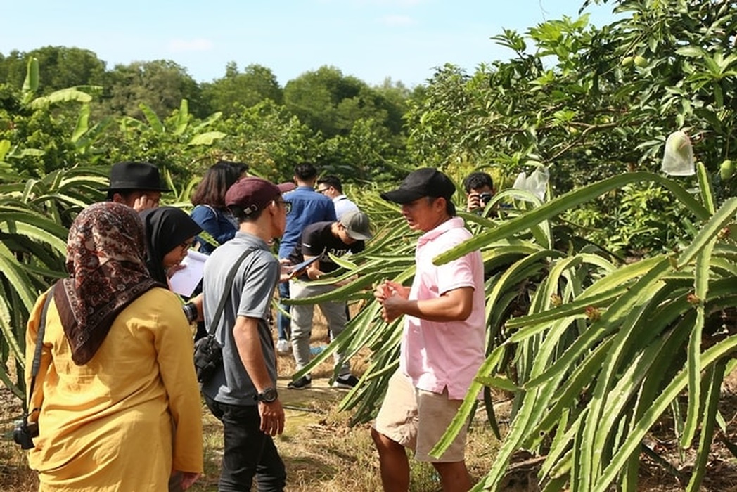 Ladang HL by selangorkini. my.v1