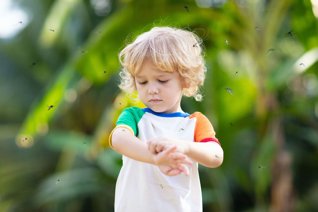 Mosquito on kids skin. Little boy attacked by mosquitoes in tropical forest. Insect repellent. Malaria and dengue fever prevention. Child scratching itchy bite in summer park.