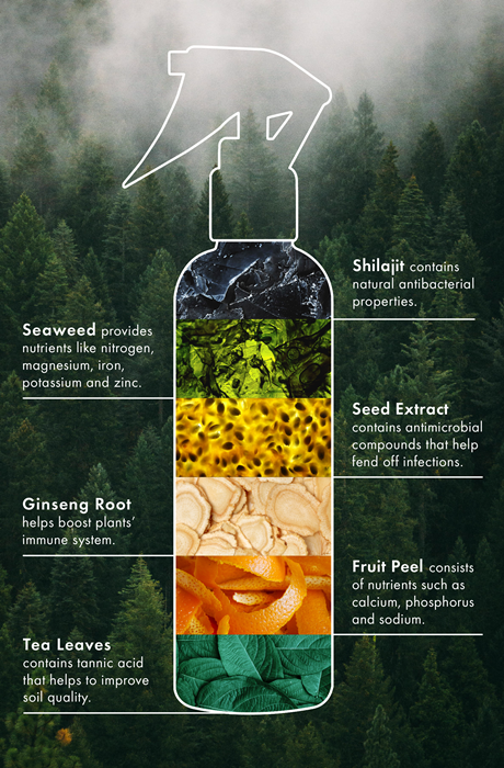 Plantonic - Key ingredients