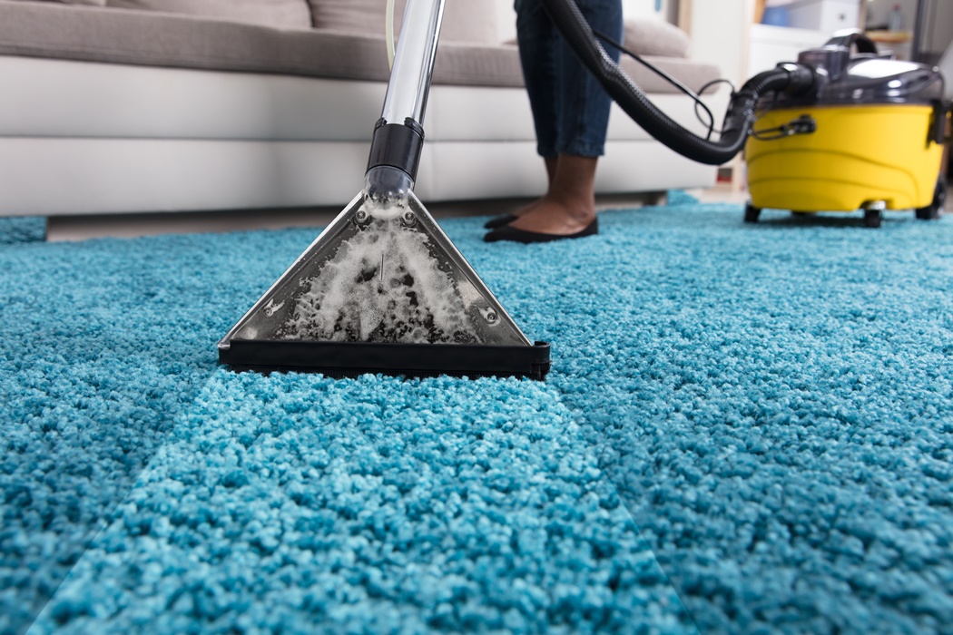 Person Using Vacuum Cleaner For Cleaning Carpet
