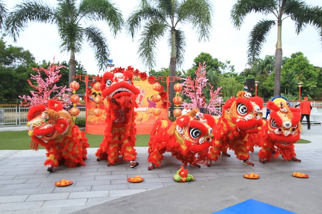Catch the special traditional Lion Dance performances with acrobatic lions (1)