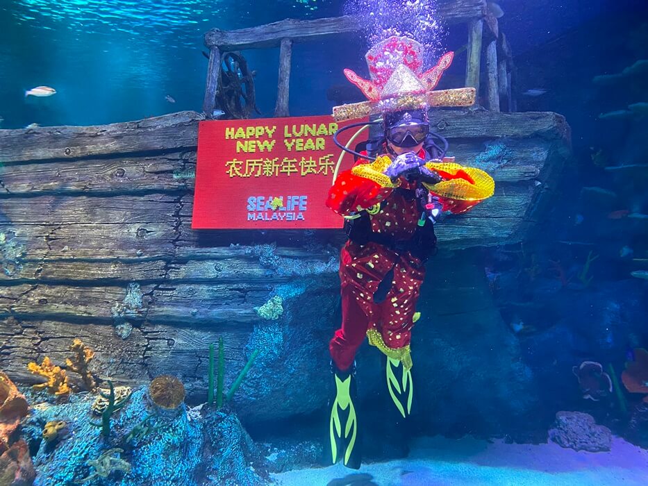 Don’t miss the underwater “God of Fortune” who will be making a splash with SEA LIFE Malaysia’s underwater creatures. (1)