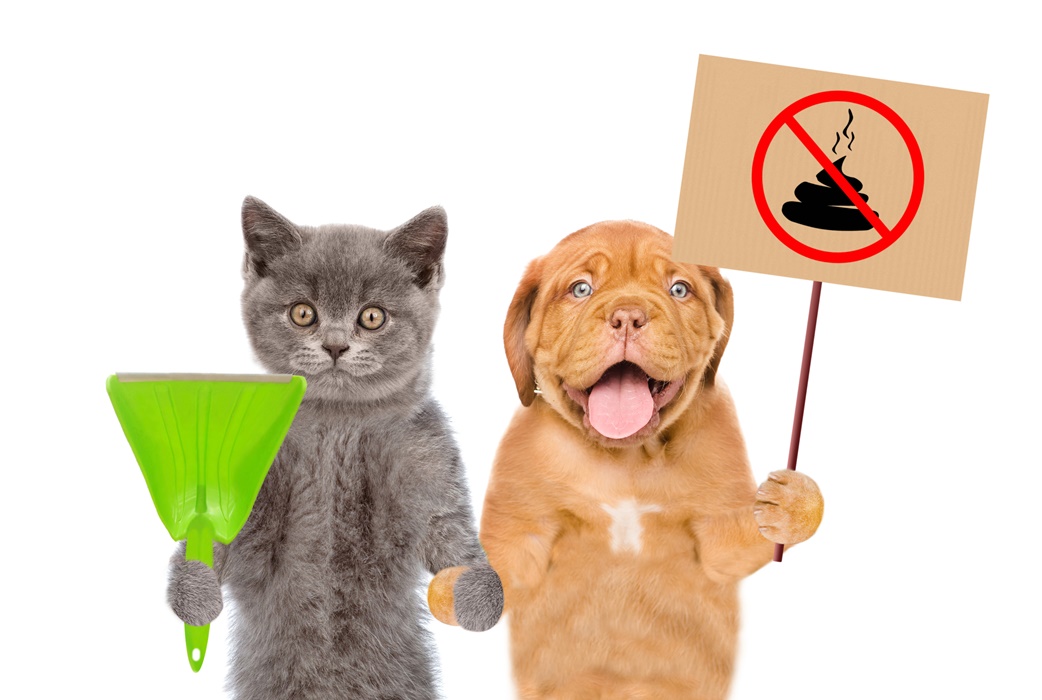 Funny puppy and kitten holds plastic scoop and sign "no dog poop