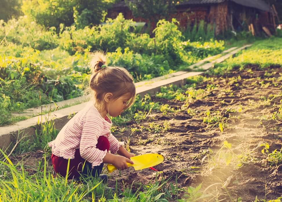 playing in the farm