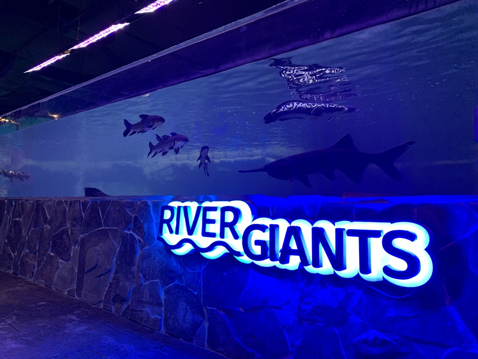 river giant