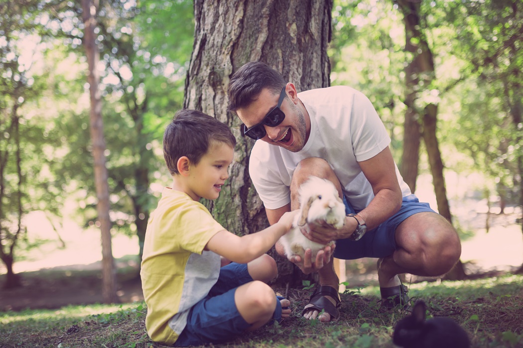 Father and son playing together in a park with cute little rabbits.