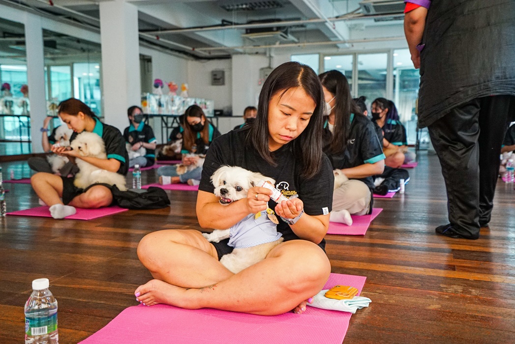 pet massage class
