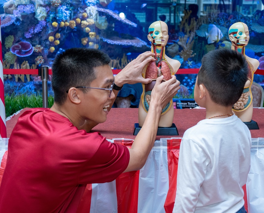 A child learning about the human anatomy